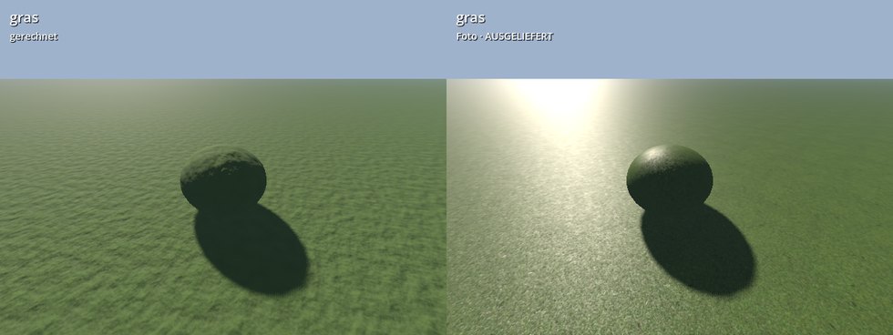 gras foto