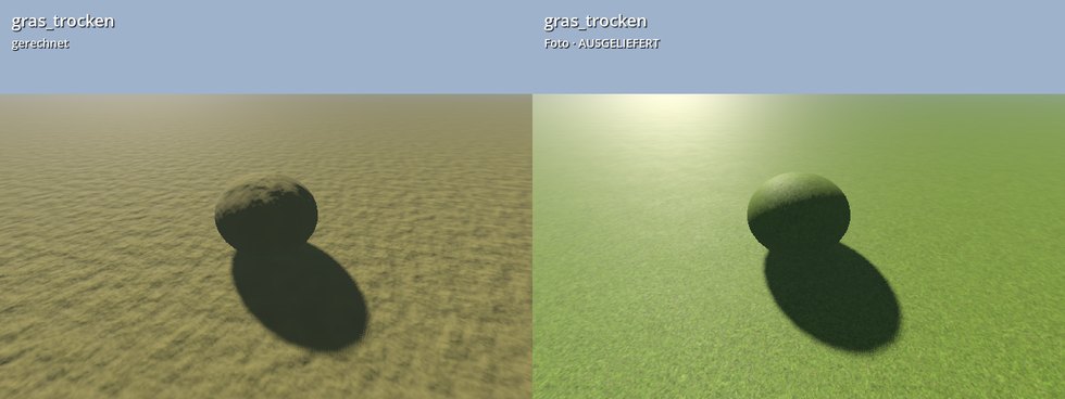 gras trocken foto