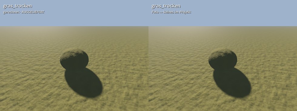 gras trocken