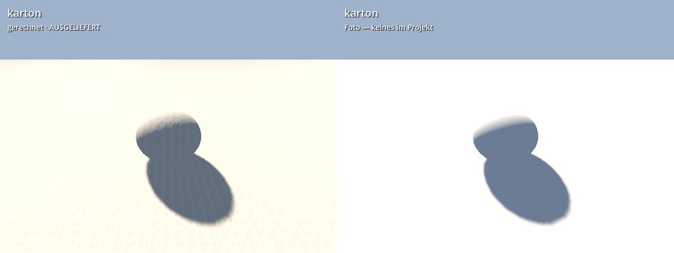 karton foto
