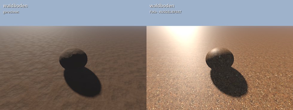 waldboden foto
