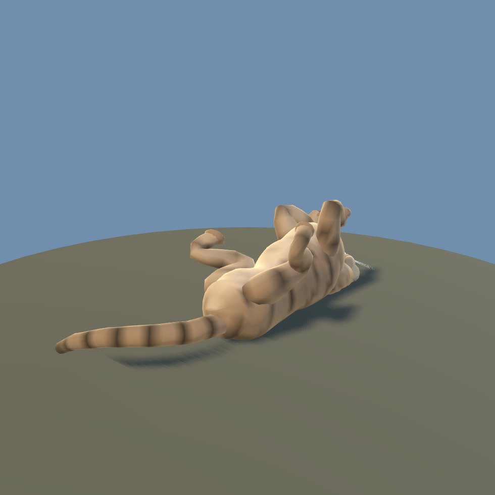 cat pose belly up