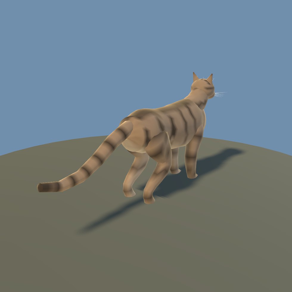 cat tabby