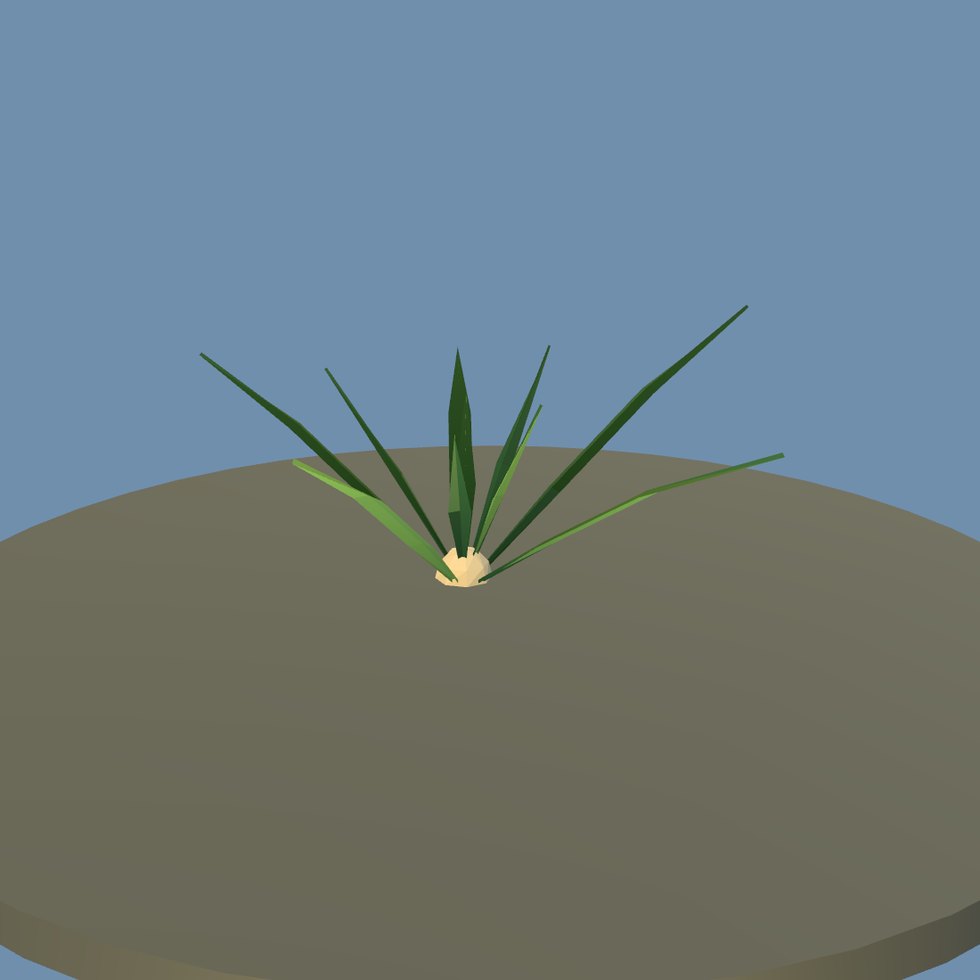 crop onion row