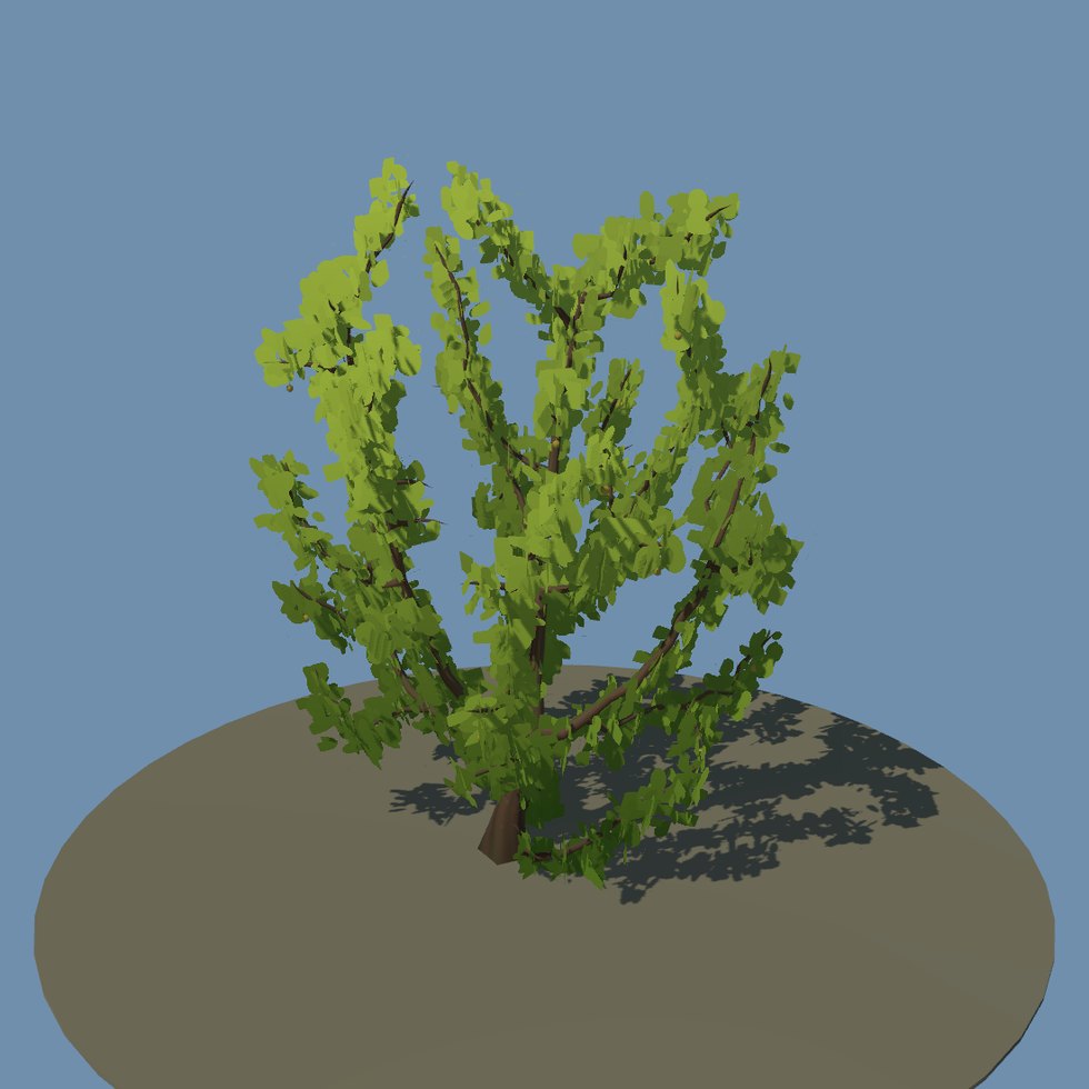 crop pear tree