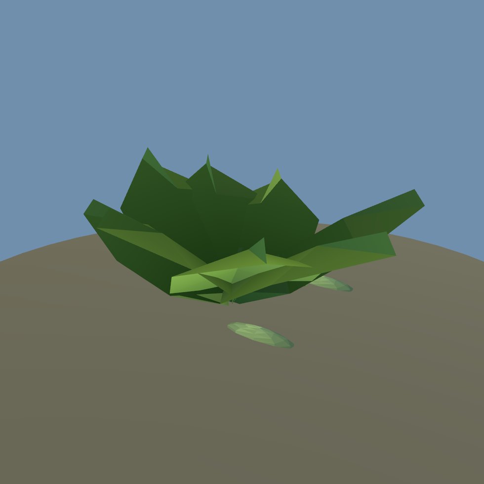 crop zucchini patch