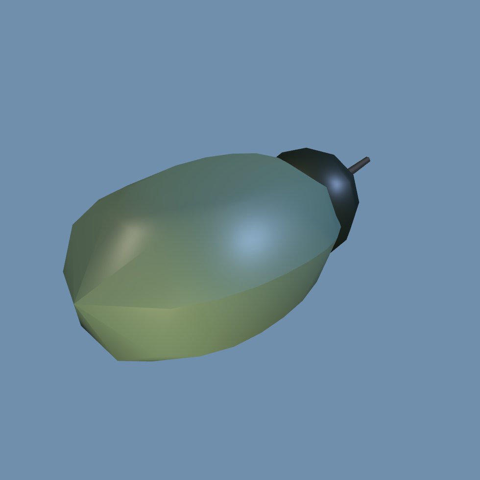 insect beetle
