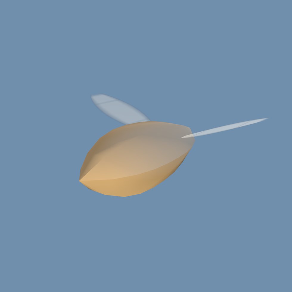 insect firefly
