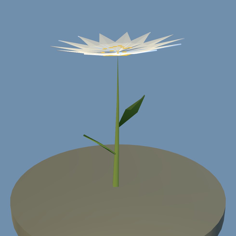 plant daisy