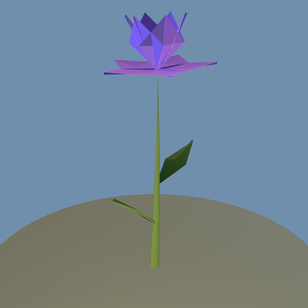 plant flower c