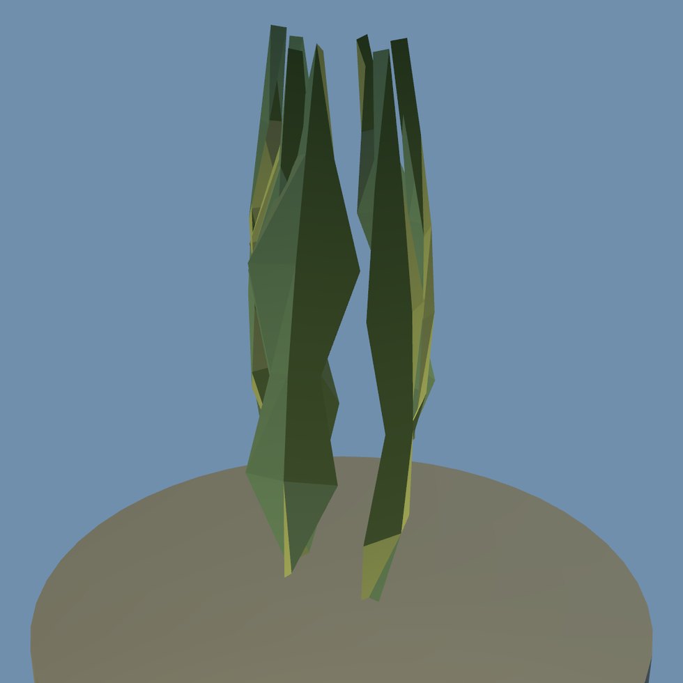 plant hanging moss
