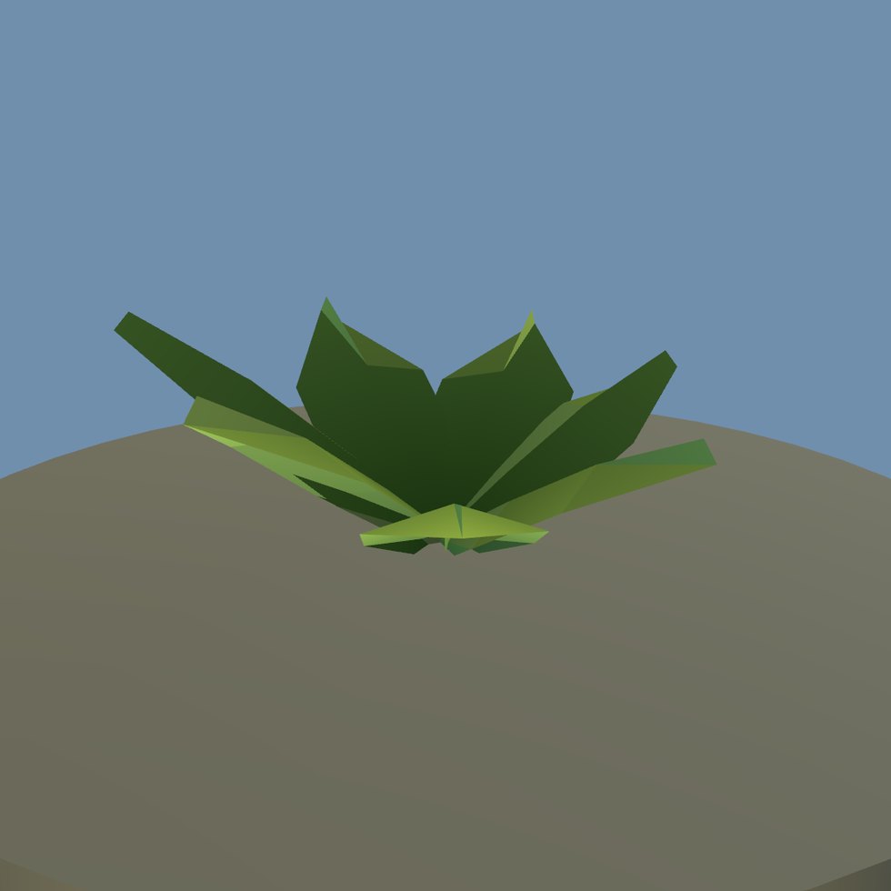 plant herb low