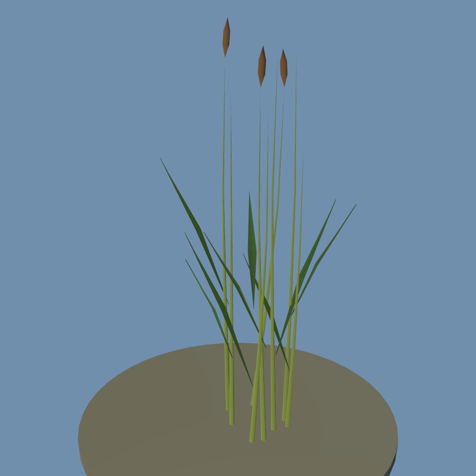 plant reed b