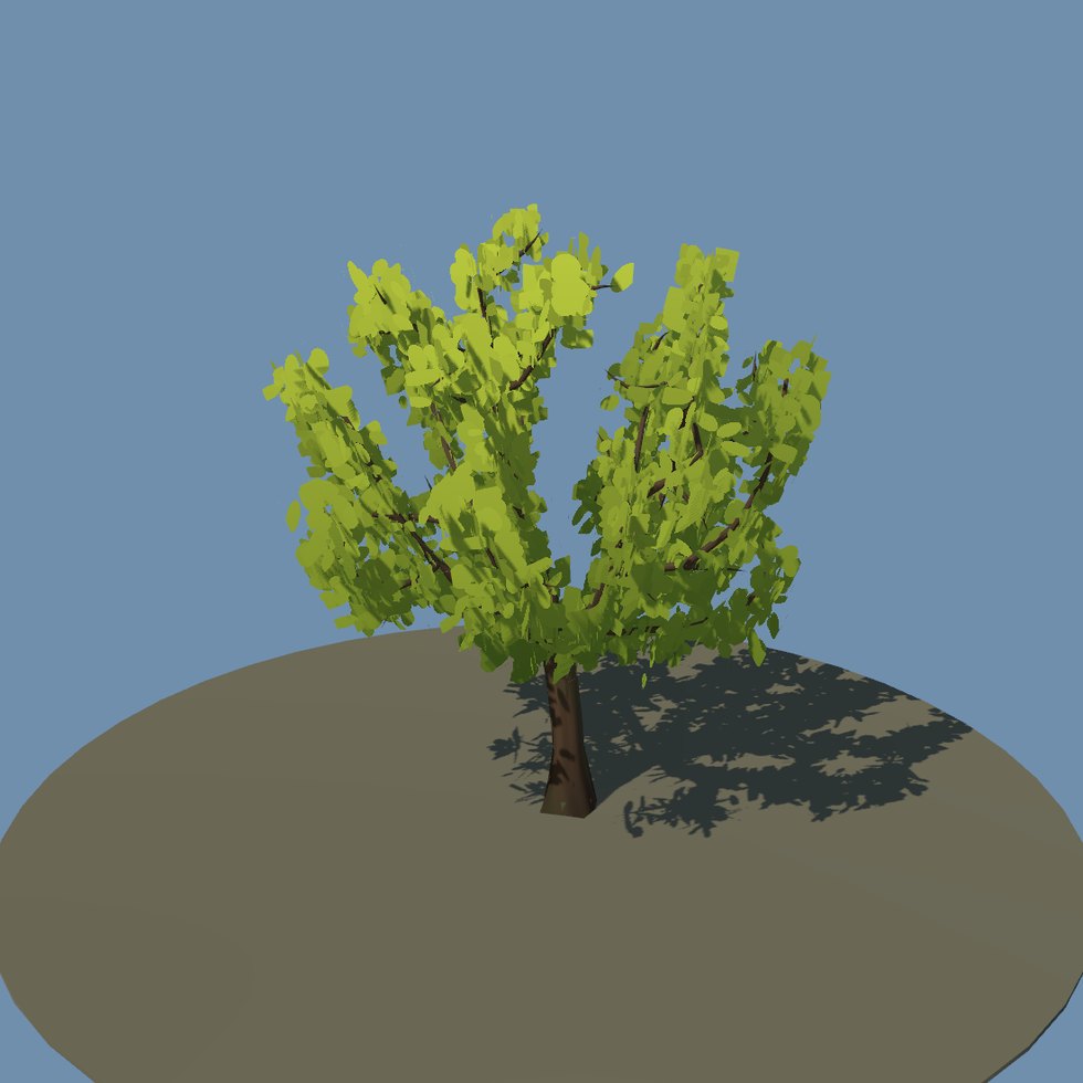 tree maple