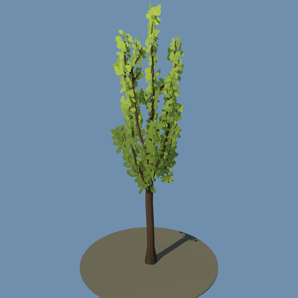 tree poplar