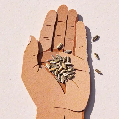 offene hand mit samen